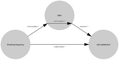 The relationship between smoking frequency and life satisfaction: Mediator of self-rated health (SRH)